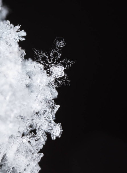 snowflakes on snow. the picture is made at a temperature of-8 C - Photo, Image