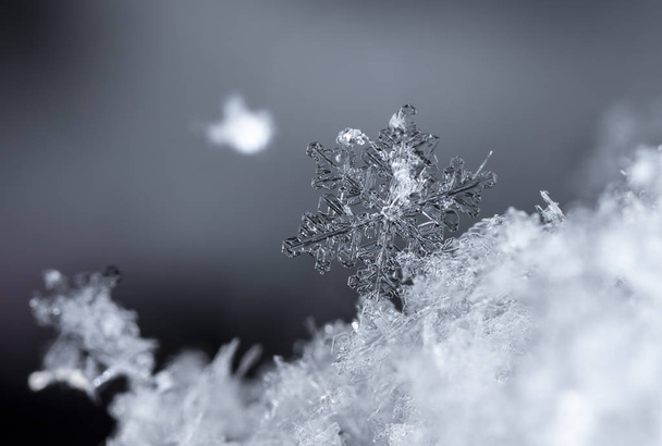 snowflakes on snow. the picture is made at a temperature of-8 C - Foto, imagen