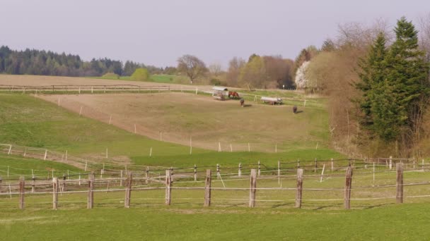 Grazende bruine paarden achter hek in boerderij ver weg paddock op lente dag. Paard eten groen gras in het land landschap. Paard begraasd op weide. Huisdieren op weilanden. Paarden voeden op Ranch. Aard. Gezonde levensstijl - Video