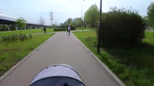 Walk through the park with a stroller - Filmati, video