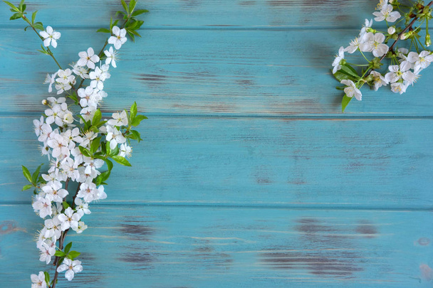 Jarní květiny třešně na modrém dřevěném pozadí s místem na nápis. Design pro přání s třešňovou kyticí. Šablona, prázdná pro nápis s pozdravem, příspěvek na blog s jarními květy - Fotografie, Obrázek
