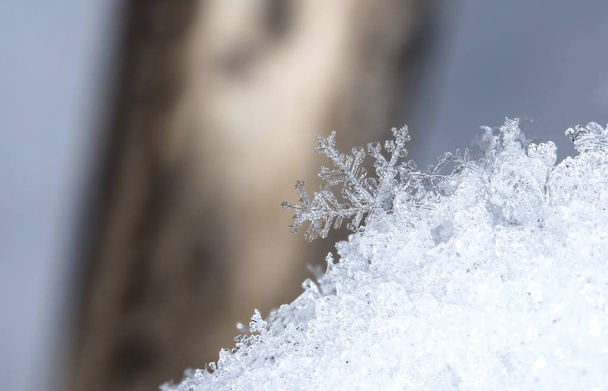snowflakes on snow. the picture is made at a temperature of-8 C - Fotografie, Obrázek