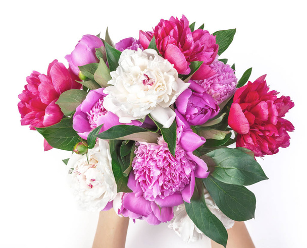 Букет з рожевих і білих піоновидних квітів в руці жінки ізольований на білому тлі. Вид зверху. Плоский прошарок
. - Фото, зображення