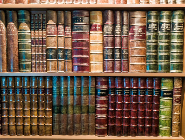 Винтажные книги на книжной полке со светом сверху
 - Фото, изображение