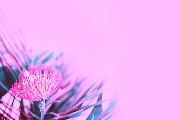 Élénk rózsaszín trópusi Flower között friss pálmalevelek rózsaszínű vissza - Fotó, kép