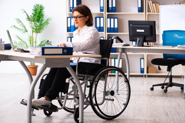 Empleada en silla de ruedas en la oficina   - Foto, Imagen