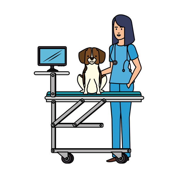 női állatorvosi kutyával hordágyon - Vektor, kép