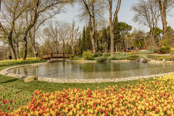 emirgan,istanbul,turkey-april 6,2019. The Emirgan Park is a historical urban park located at the Emirgan in istanbul.International Istanbul Tulip Festival in Emirgan Park and General view . - Photo, Image