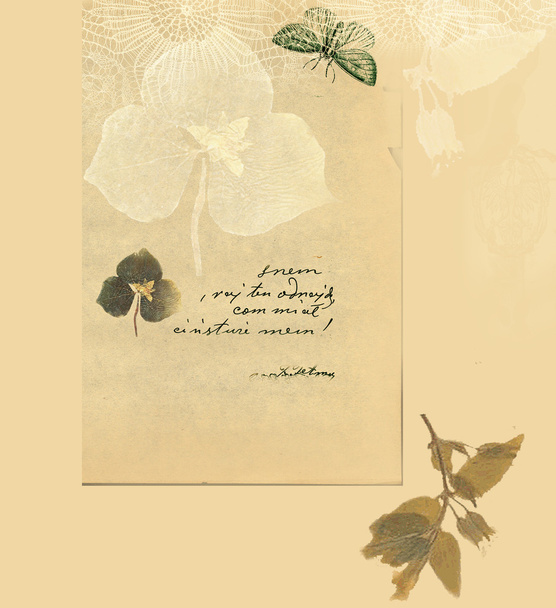Fondo con hojas secas y mariposa
 - Foto, Imagen