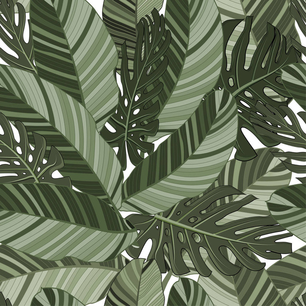grüne tropische Blätter nahtloses Muster. Vektor - Vektor, Bild