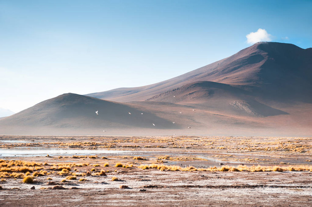 High-altitude landscapes in Altiplano plateau, Bolivia.  - Фото, изображение