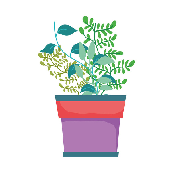 roztomilý pokojová rostlina květinové dekorace vektorová ilustrace design - Vektor, obrázek