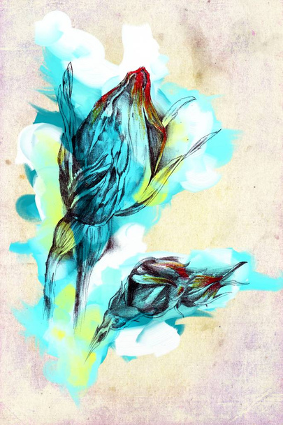 Abstract flowers oils painting art illustration - Fotografie, Obrázek