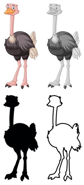 Set van struisvogel karakter - Vector, afbeelding