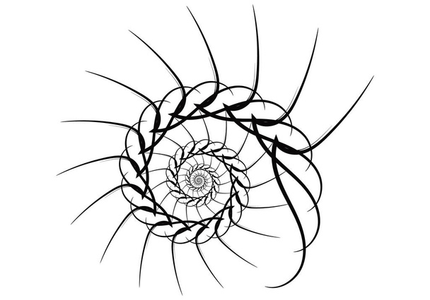 Spiral vector design elements. Abstract lines black and white. S - Vector, Image