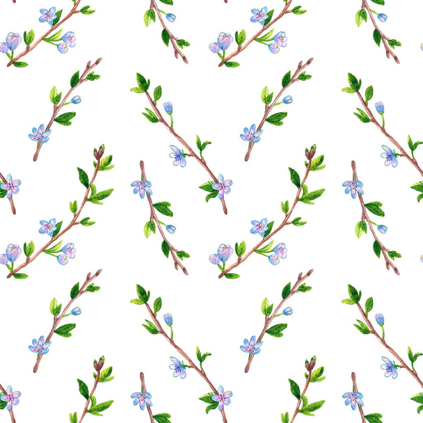 Naadloze bloemen patroon met lente takken met bloemen. Apple of kersenboom. Hand getekende aquarel illustratie. - Foto, afbeelding