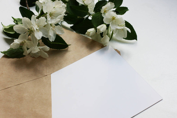 Top view background with flowers. Flowers composition.  Mockup card with plants. Mockup with postcard and flowers on white background.    - Fotoğraf, Görsel