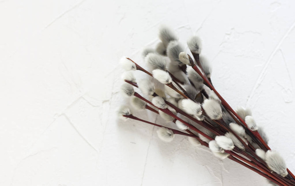 bouquet of willow on a white background ,the concept of palm Sunday - Φωτογραφία, εικόνα