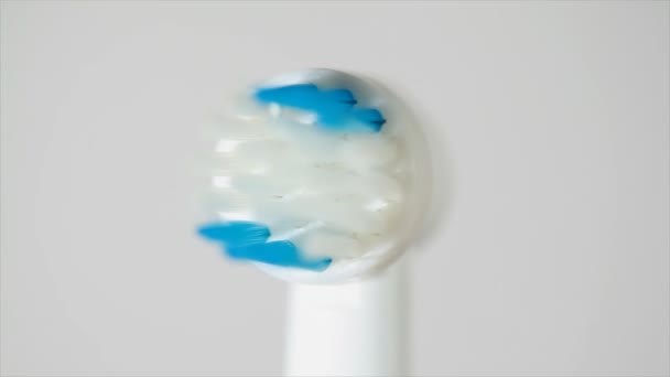 White electric toothbrushes with rotating head rotates counter-clockwise - Záběry, video