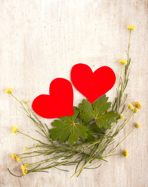Deux cœurs dans le nid avec des plantes et des feuilles
 - Photo, image