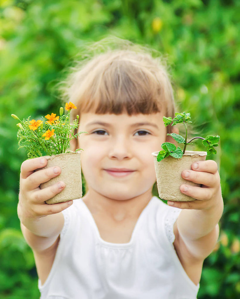 Küçük bir kız çiçek ekiyor. Genç bahçıvan. Seçici odak. - Fotoğraf, Görsel