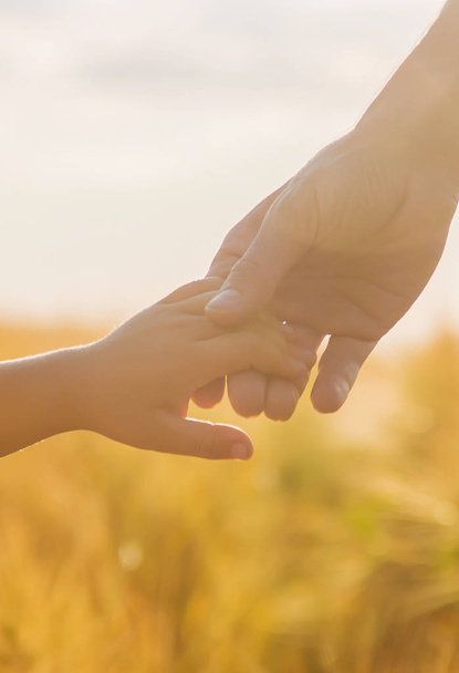 το χέρι του παιδιού και του πατέρα του στο πεδίο σιτάρι. - Φωτογραφία, εικόνα
