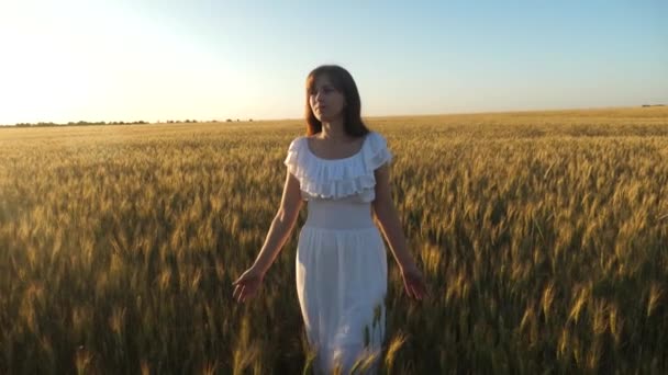 woman go across field with golden wheat against sky. environmentally friendly wheat. beautiful girl walks across a field of ripe wheat and touches ears of grain with her hands. Slow motion. - Footage, Video