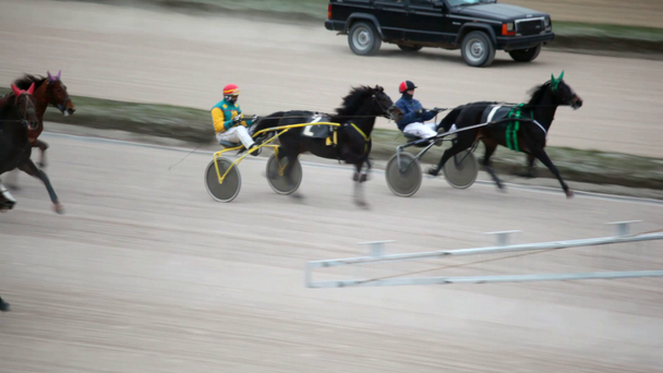 ヒッポド ロームのカートおよび自動起動車で騎手と馬を実行中のジャンプ - 映像、動画