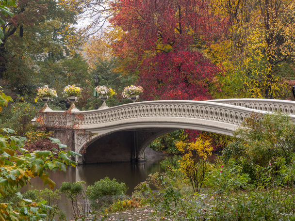 Pont de l'Arc, Central Park, New York Cit
 - Photo, image