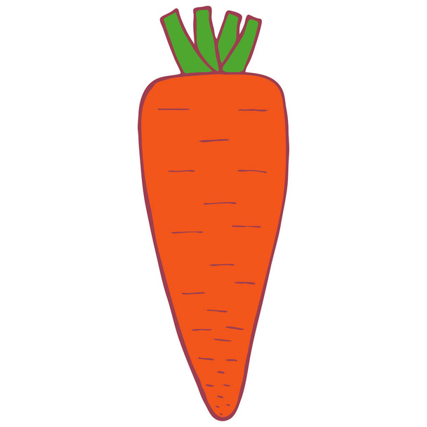 Isolated vector flat carrot - Vector, Image