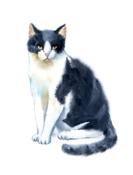 Akvarel ilustrace ruka s veselou Roztomilou kočičku s pruhy-kotě Aquarelle-černá, šedá, bílá - Fotografie, Obrázek