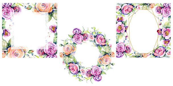 Rosa rosa buquê loral flores botânicas. Conjunto de ilustração de fundo aquarela. Quadro borda ornamento quadrado
. - Foto, Imagem