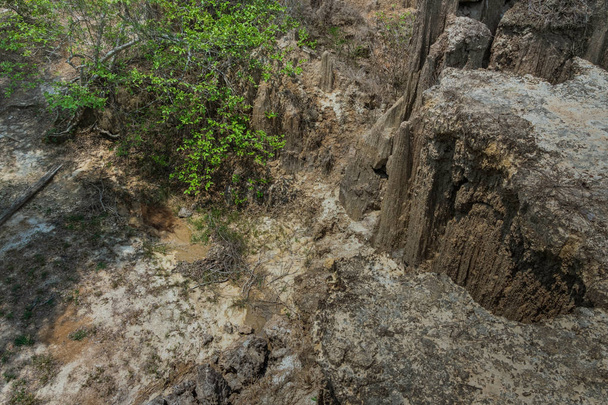 Hermoso paisaje de los flujos de agua a través del suelo tienen erosión y colapso del suelo en una capa natural
 - Foto, imagen
