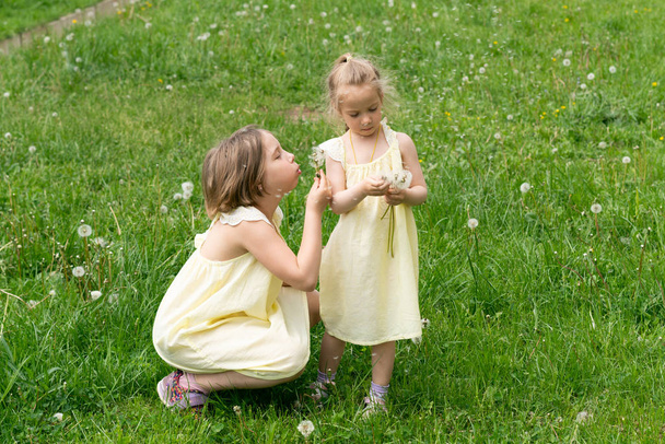 duas meninas estão de pé na grama verde em vestidos amarelos com dentes de leão
 - Foto, Imagem