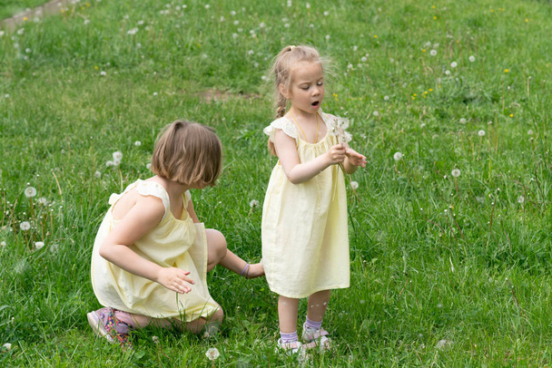 duas meninas na grama verde com dentes de leão em pé em vestidos amarelos
 - Foto, Imagem