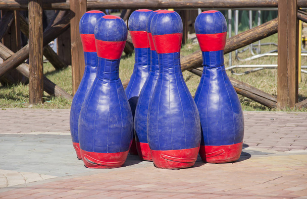 devler için uygun büyük bowling pimleri - Fotoğraf, Görsel