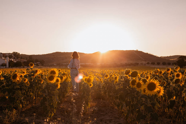 Günbatımında sırtındaki ayçiçeği tarlasında genç bir kadın. - Fotoğraf, Görsel