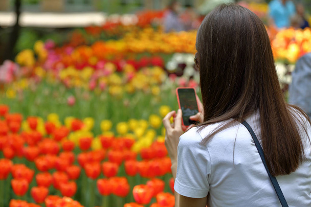 Girl taking pictures of flowers - Foto, Imagen