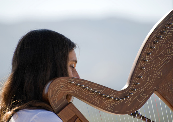 Harp being played by a woman - Photo, Image