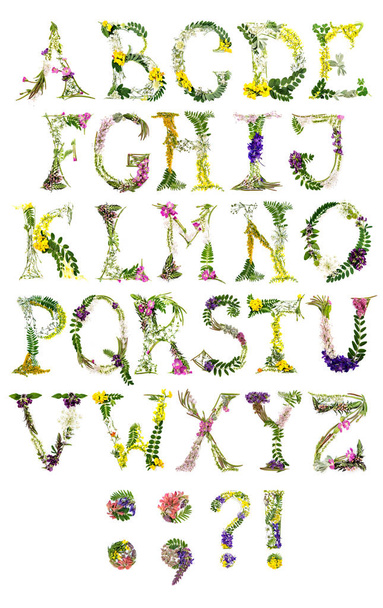 Letras florales del alfabeto latino
. - Foto, Imagen