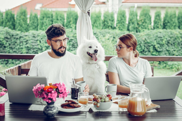 Focused freelancers working remotely outdoors while their dog sitting behind. - Fotografie, Obrázek