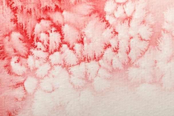 白い紙の背景に赤い水彩画の塗料のこぼれのクローズアップビュー  - 写真・画像