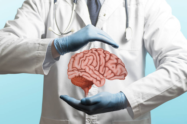 Kuva lääkäristä valkoisessa takissa ja aivoissa käsien yläpuolella. Hermostokirurgia. Aivojen hoito
. - Valokuva, kuva