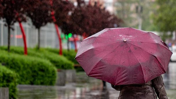 La gente se esconde de la lluvia bajo sombrillas en un día lluvioso en la calle de la ciudad Concepto de mal tiempo
 - Foto, Imagen