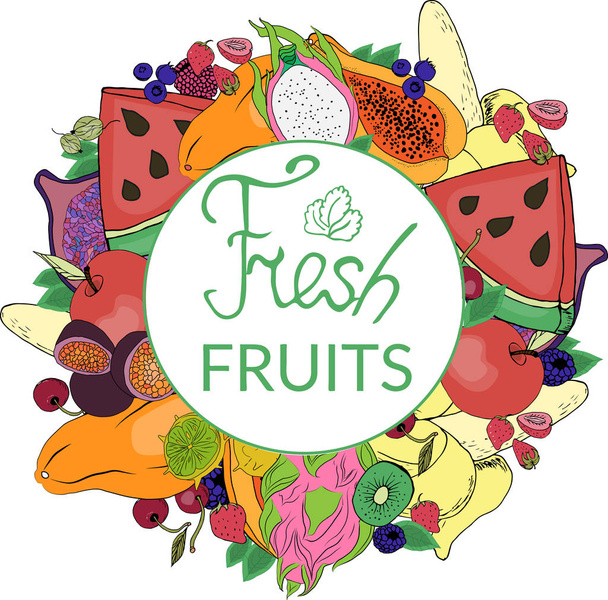  logo and colorful, bright fruit - Vetor, Imagem