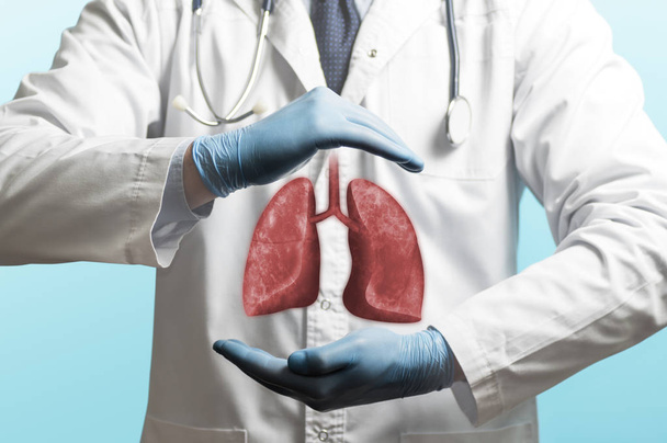 Зображення лікаря в білій шубці і легенях над його руками. Концепція здорових легенів
. - Фото, зображення