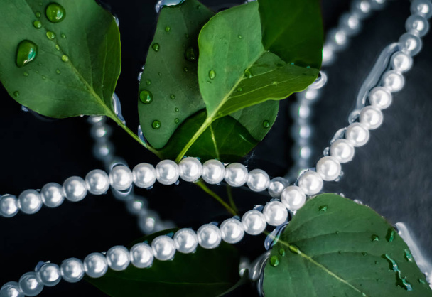 真珠のネックレス、高級ジュエリーの背景 - 写真・画像