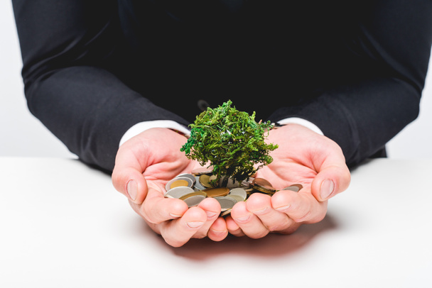 Cropped view of man in suit holding coins and money tree on grey - Photo, image