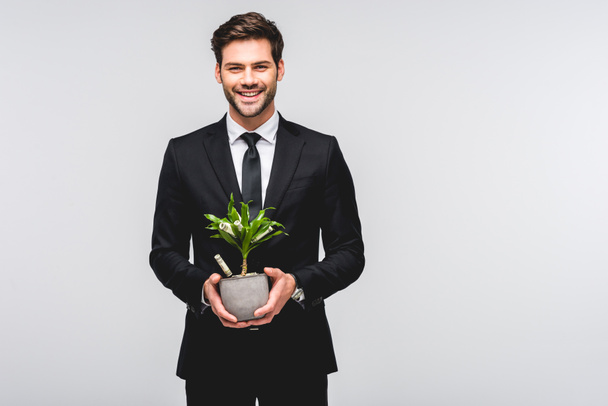 handsome businessman in suit holding flowerpot with money isolated on grey - Foto, imagen
