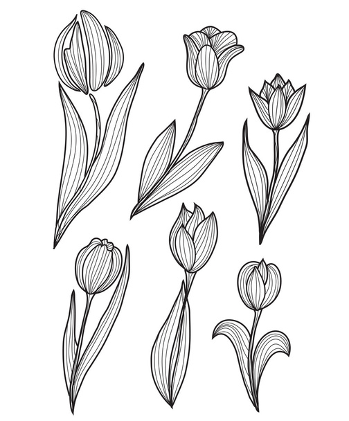 decorative tulips - Vektor, kép